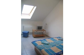 Венгрия Privát Egerszalók, Экстерьер